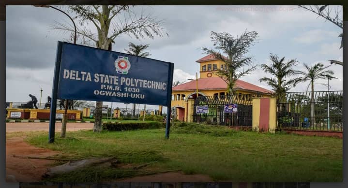 IMG-20251029-WA0005(1)