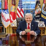 104627785-15373177-image-a-13_1765416755733