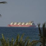 images (4) (30)_1776521861