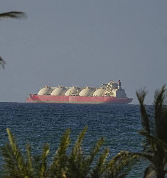 images (4) (30)_1776521861