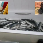 newspress-collage-d7mce5jk4-1775641491222