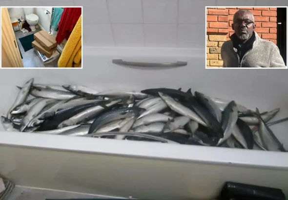 newspress-collage-d7mce5jk4-1775641491222