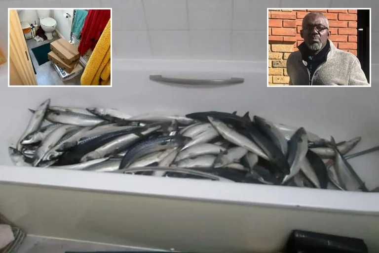 newspress-collage-d7mce5jk4-1775641491222