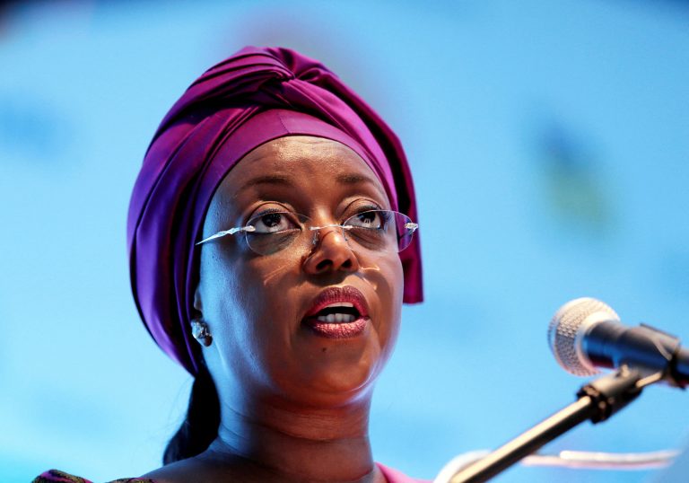 FILE PHOTO: Nigeria's Minister of Petroleum Diezani Alison-Madueke addresses delegates at the opening of the Nigeira Oil & Gas 2014 conference in Abuja